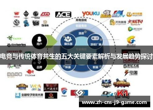 电竞与传统体育共生的五大关键要素解析与发展趋势探讨