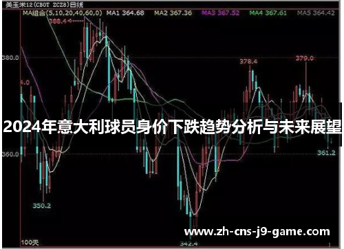 2024年意大利球员身价下跌趋势分析与未来展望