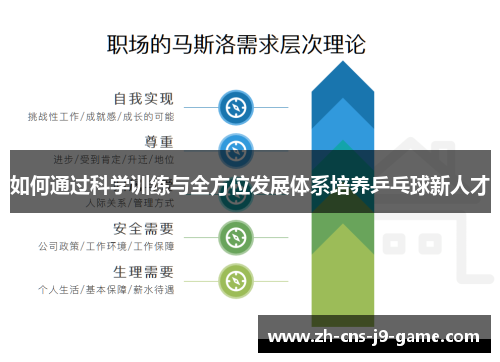 如何通过科学训练与全方位发展体系培养乒乓球新人才