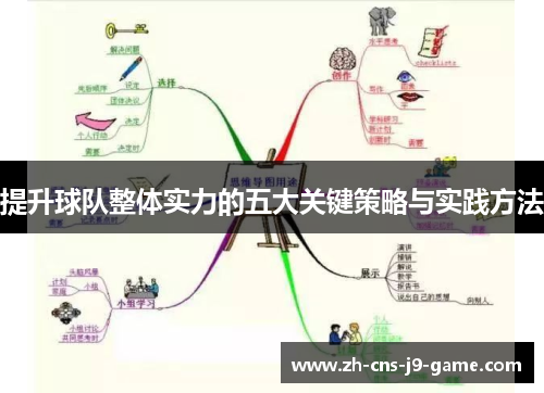 提升球队整体实力的五大关键策略与实践方法