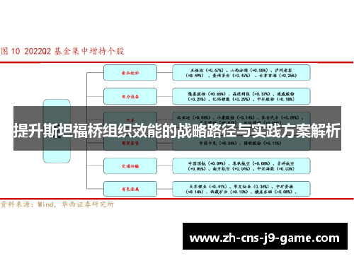 提升斯坦福桥组织效能的战略路径与实践方案解析