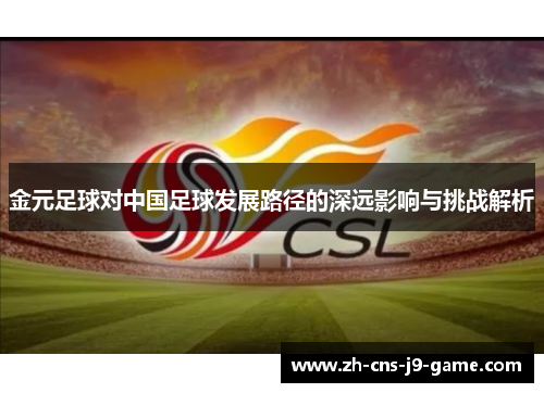 金元足球对中国足球发展路径的深远影响与挑战解析